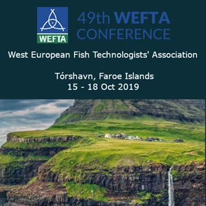 wefta%202019