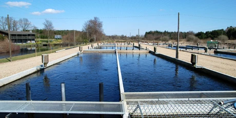 Akvakulturanlaeg_Foto_Peter_V_Skov