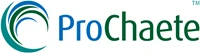 prochaete