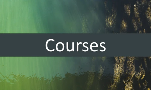 Courses