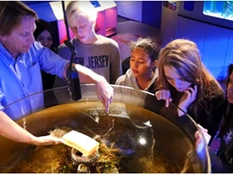 i%20am%20ocean%20students