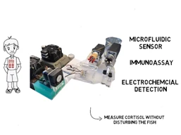 video%20capture%20Claudy%204