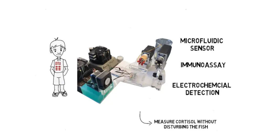 video%20capture%20Claudy%204